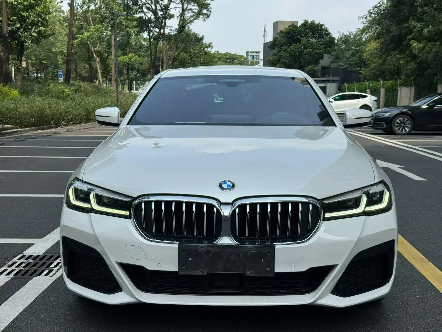 BMW 5 Series 2022 530Li Executive M Sport Package