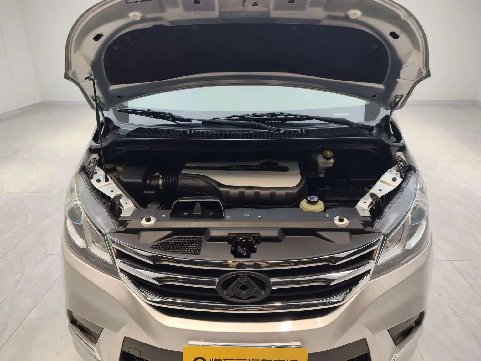 Da Da G10 2018 PLUS 2.0T Auto Elite