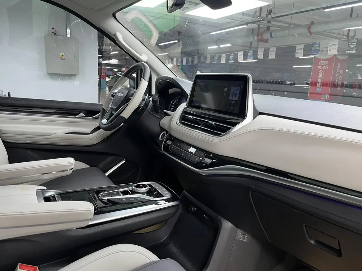 Da Da G20 2020 2.0T Petrol Auto Luxury China VI