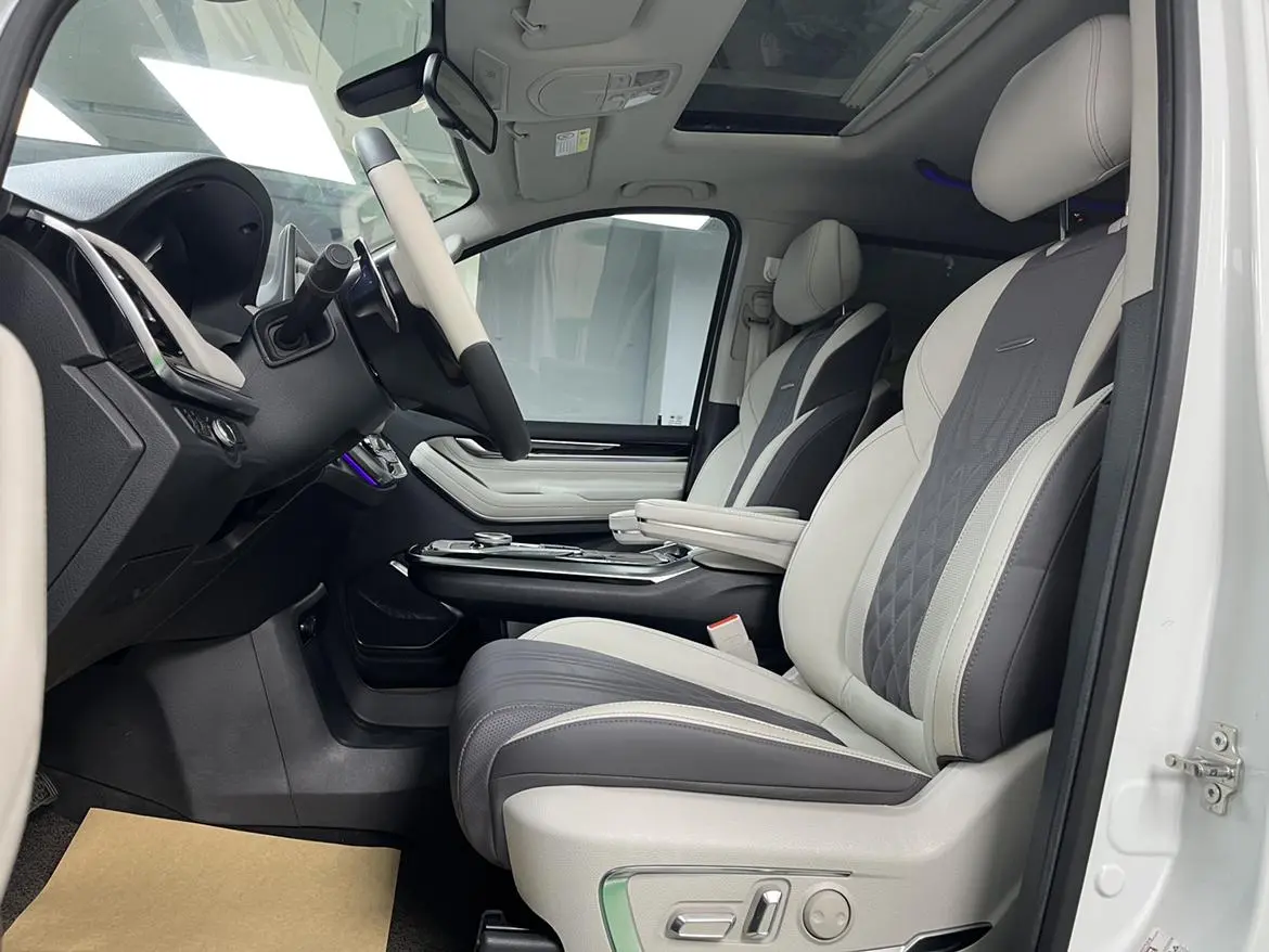 Da Da G20 2020 2.0T Petrol Auto Luxury China VI