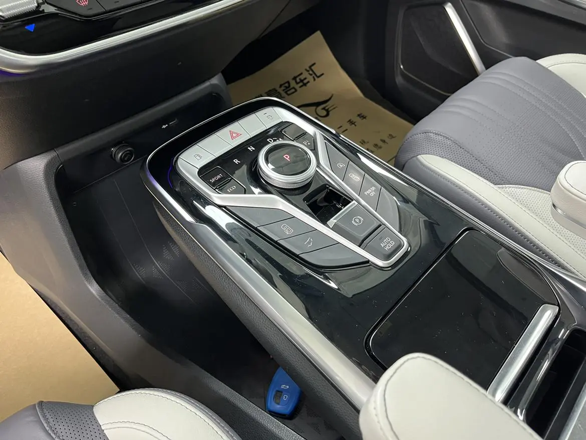 Da Da G20 2020 2.0T Petrol Auto Luxury China VI