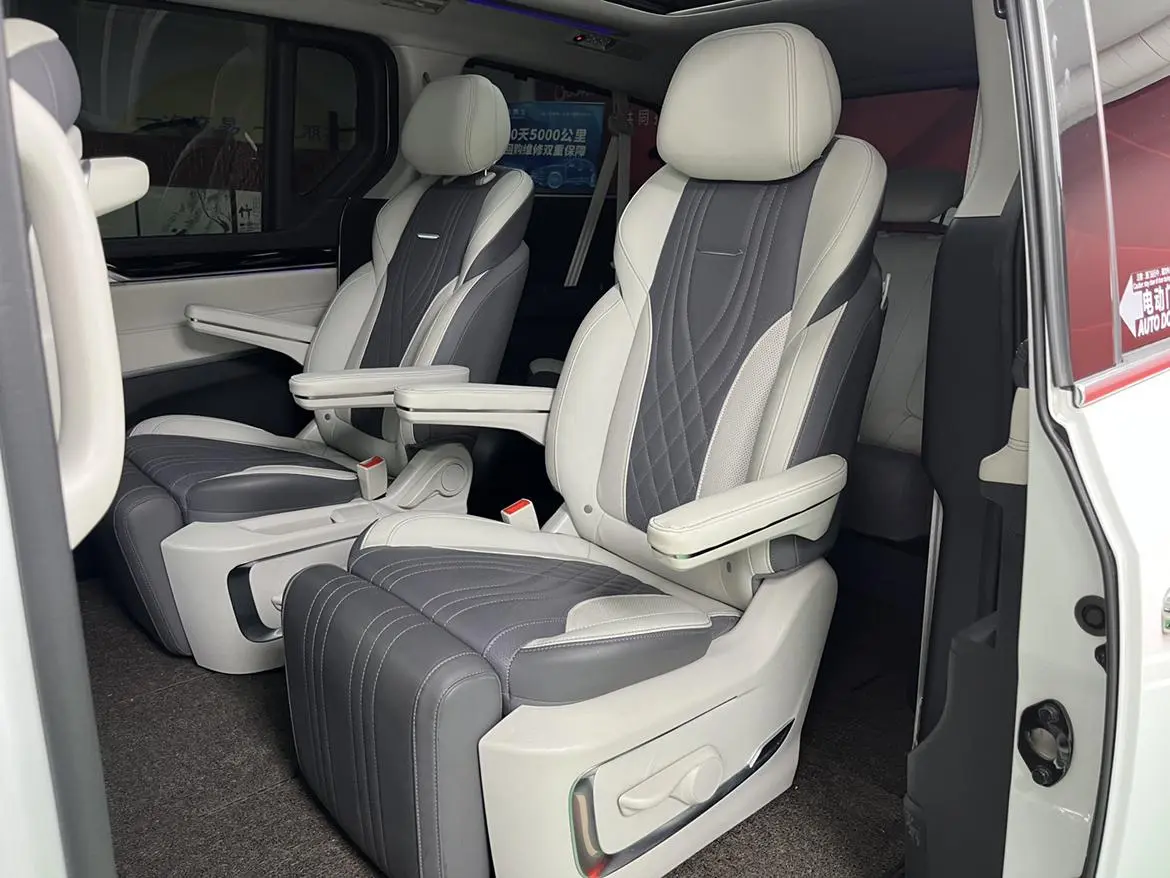 Da Da G20 2020 2.0T Petrol Auto Luxury China VI