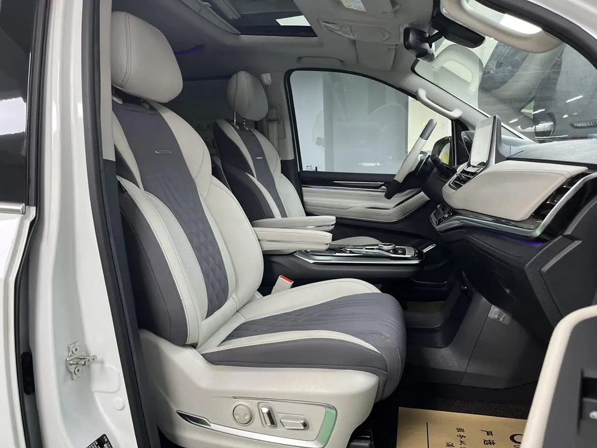 Da Da G20 2020 2.0T Petrol Auto Luxury China VI
