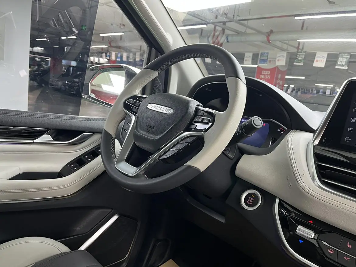Da Da G20 2020 2.0T Petrol Auto Luxury China VI