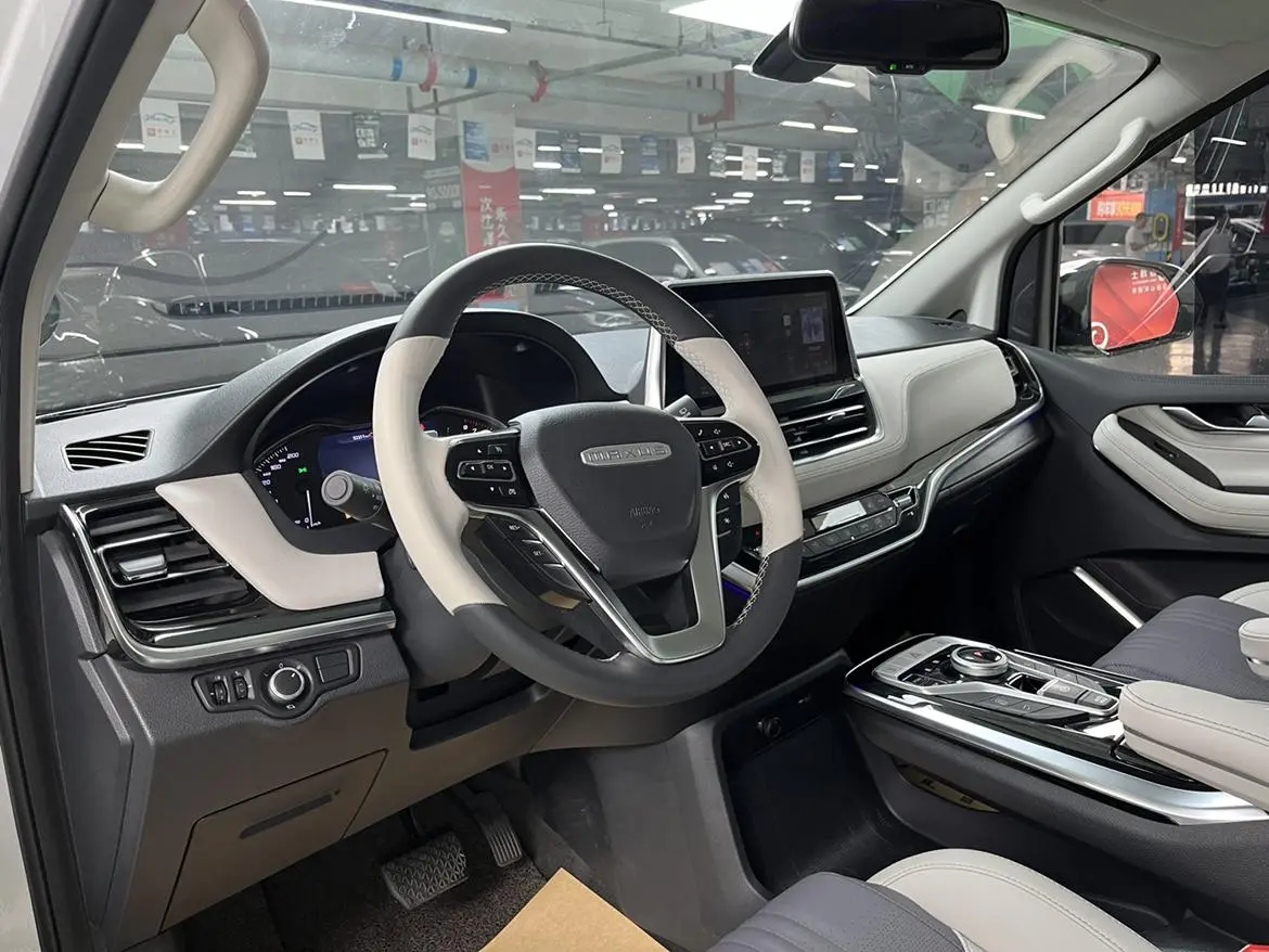 Da Da G20 2020 2.0T Petrol Auto Luxury China VI
