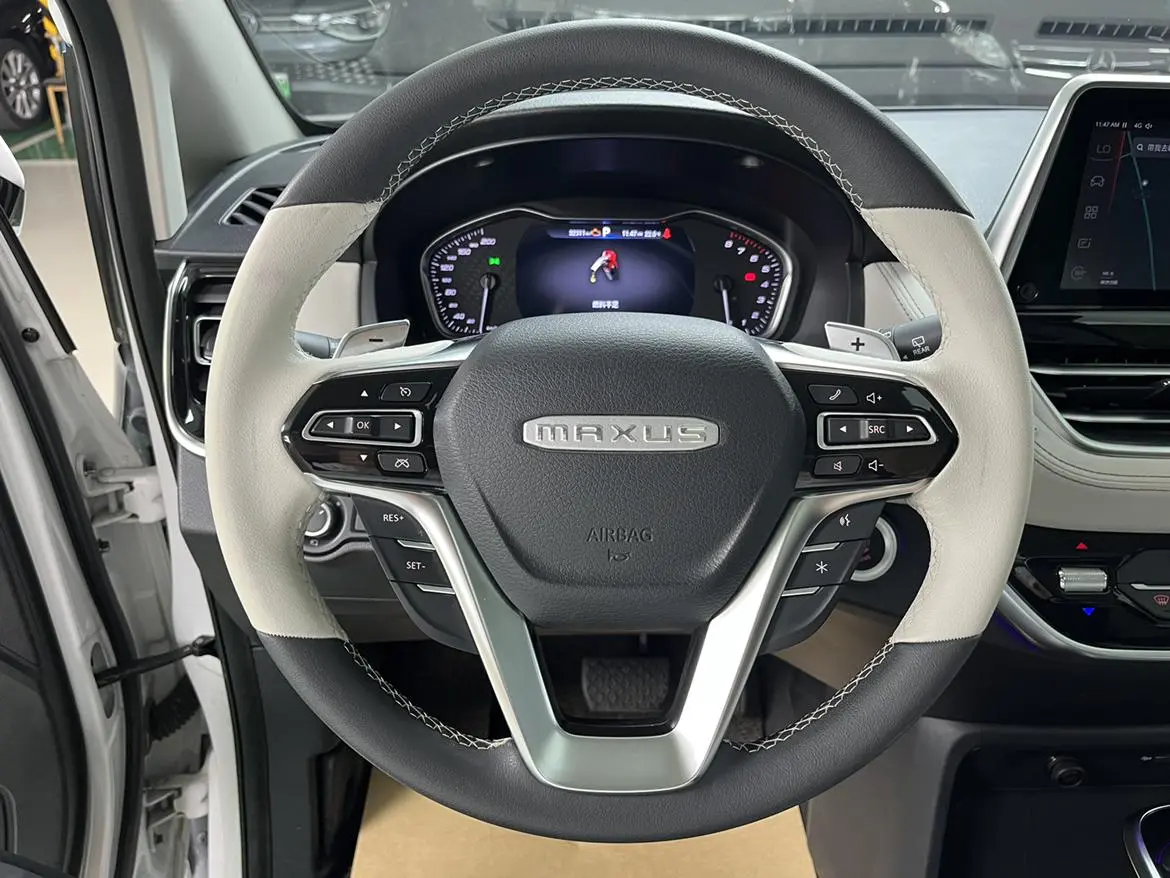 Da Da G20 2020 2.0T Petrol Auto Luxury China VI