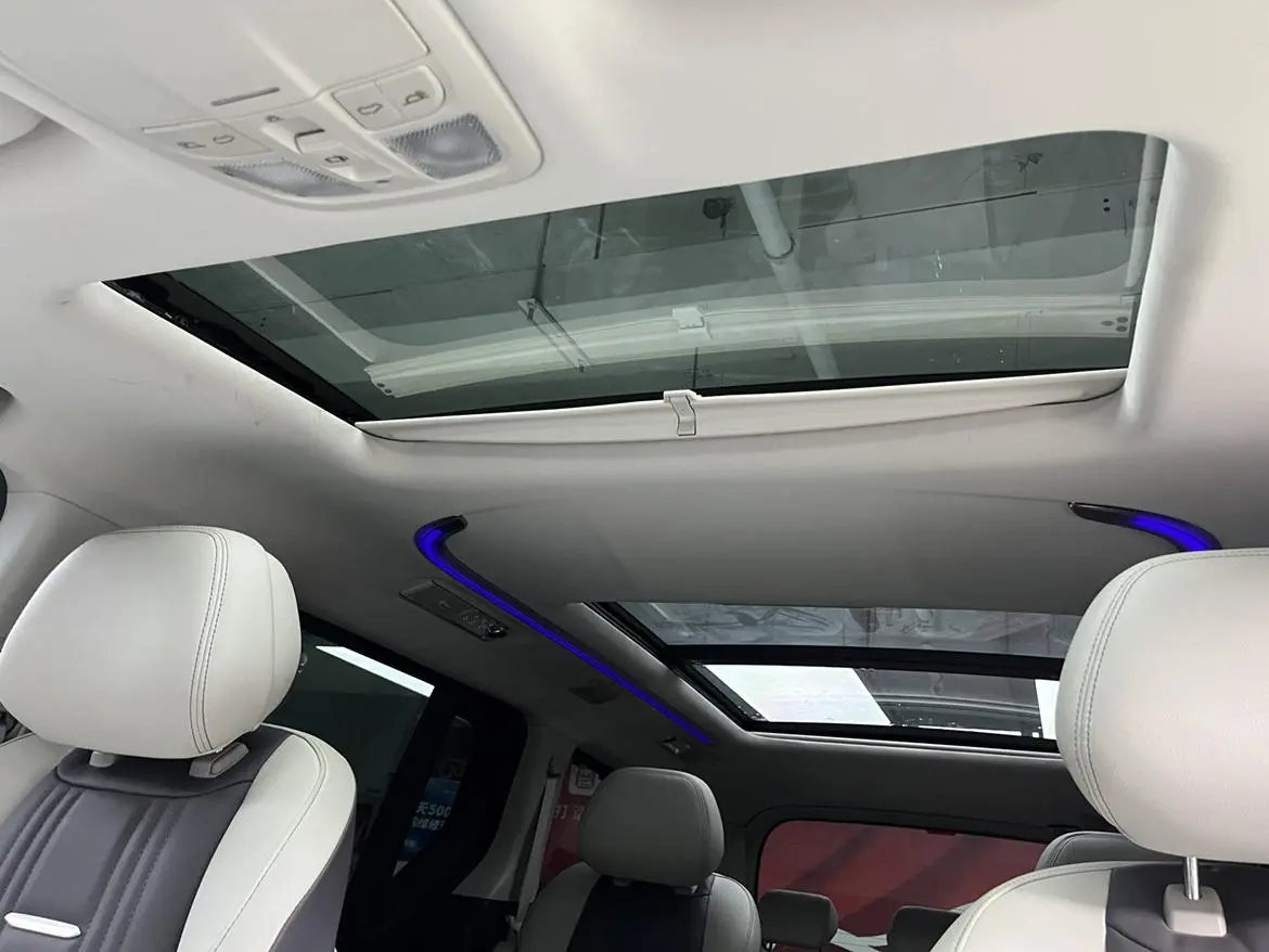 Da Da G20 2020 2.0T Petrol Auto Luxury China VI
