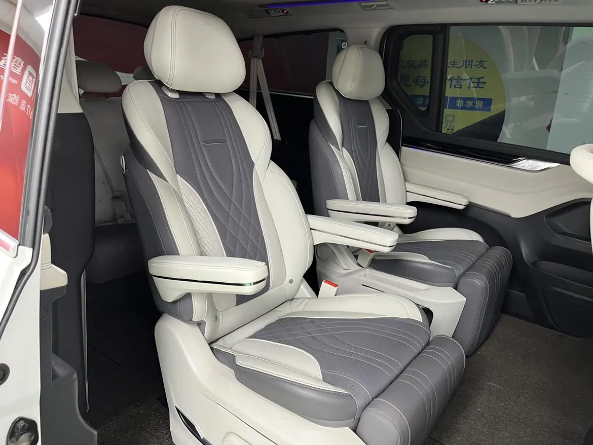 Da Da G20 2020 2.0T Petrol Auto Luxury China VI