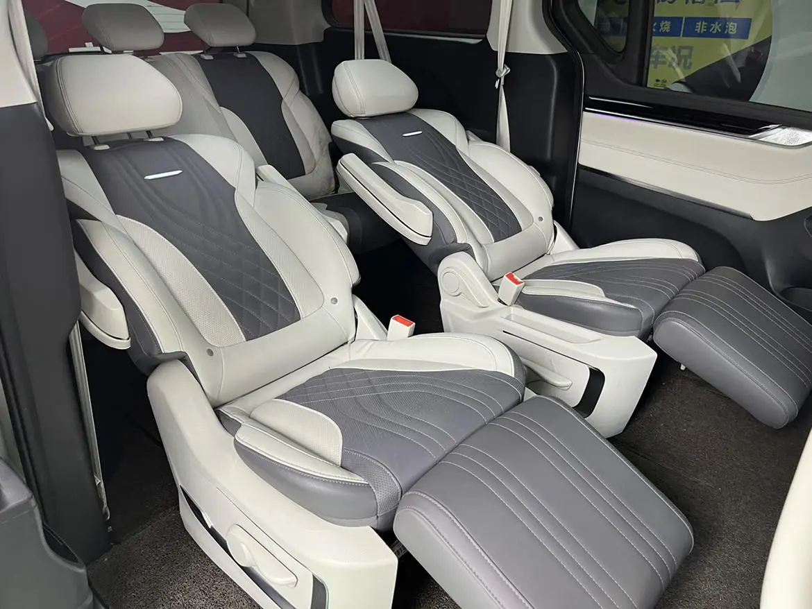 Da Da G20 2020 2.0T Petrol Auto Luxury China VI