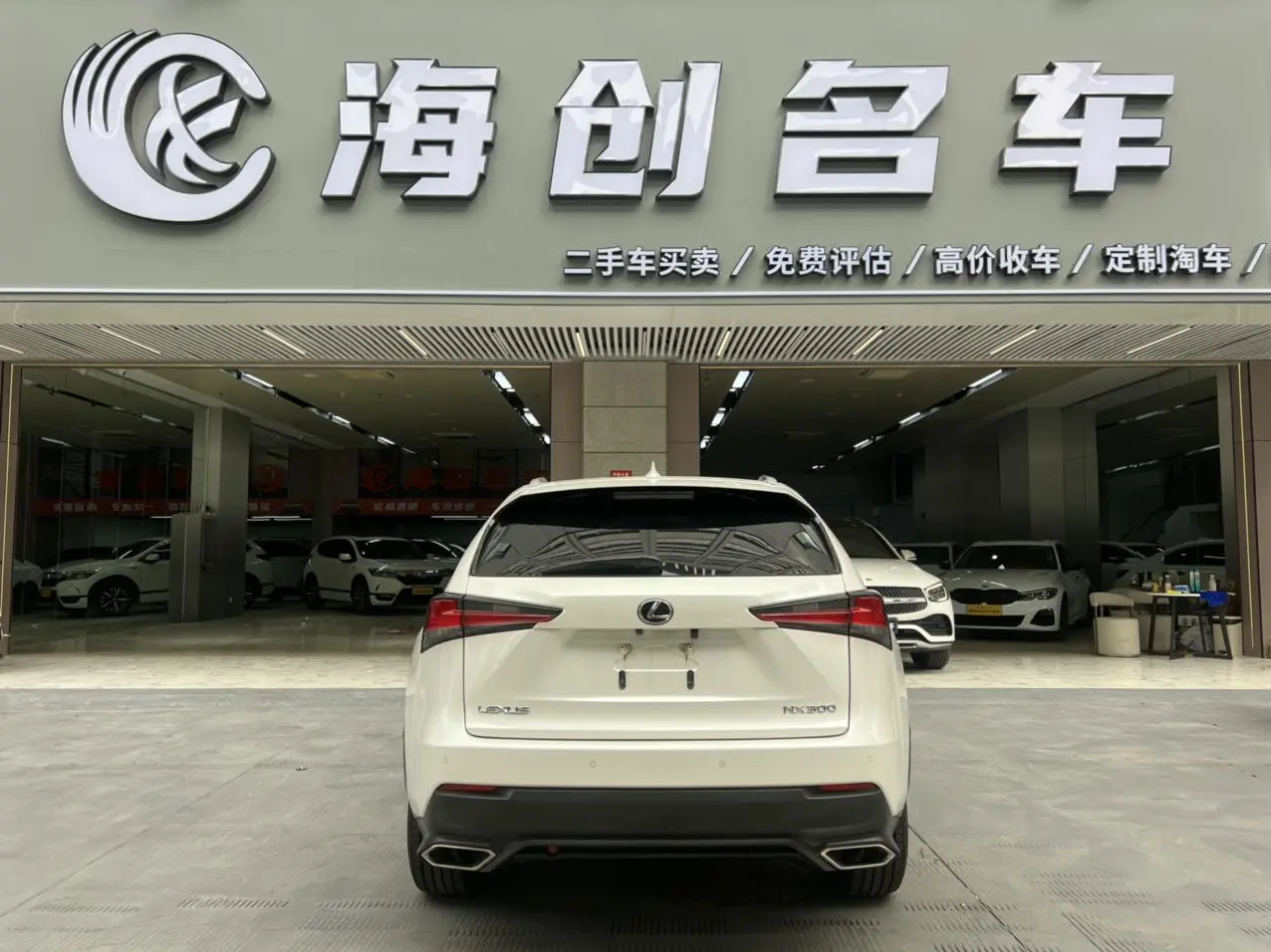 Lexus NX 2018 300 China V