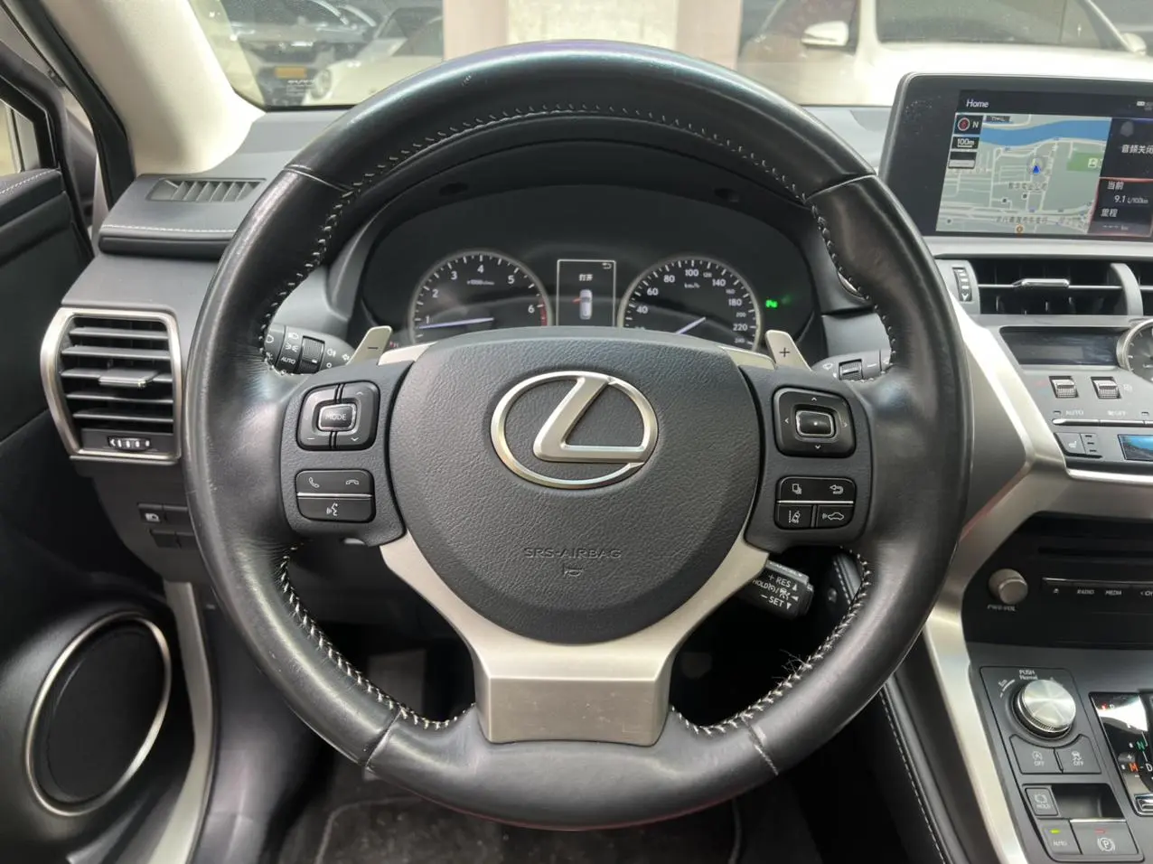 Lexus NX 2018 300 China V