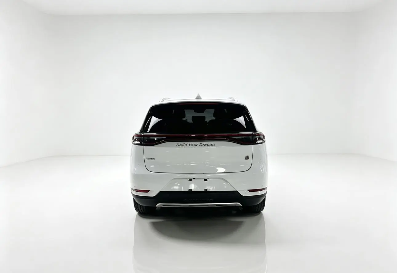 BYD Tang 2018 2.0T Auto Smart Connected Distinguished 7 seat China V
