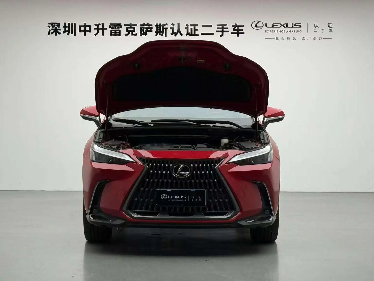 Lexus NX 2022 260 FWD