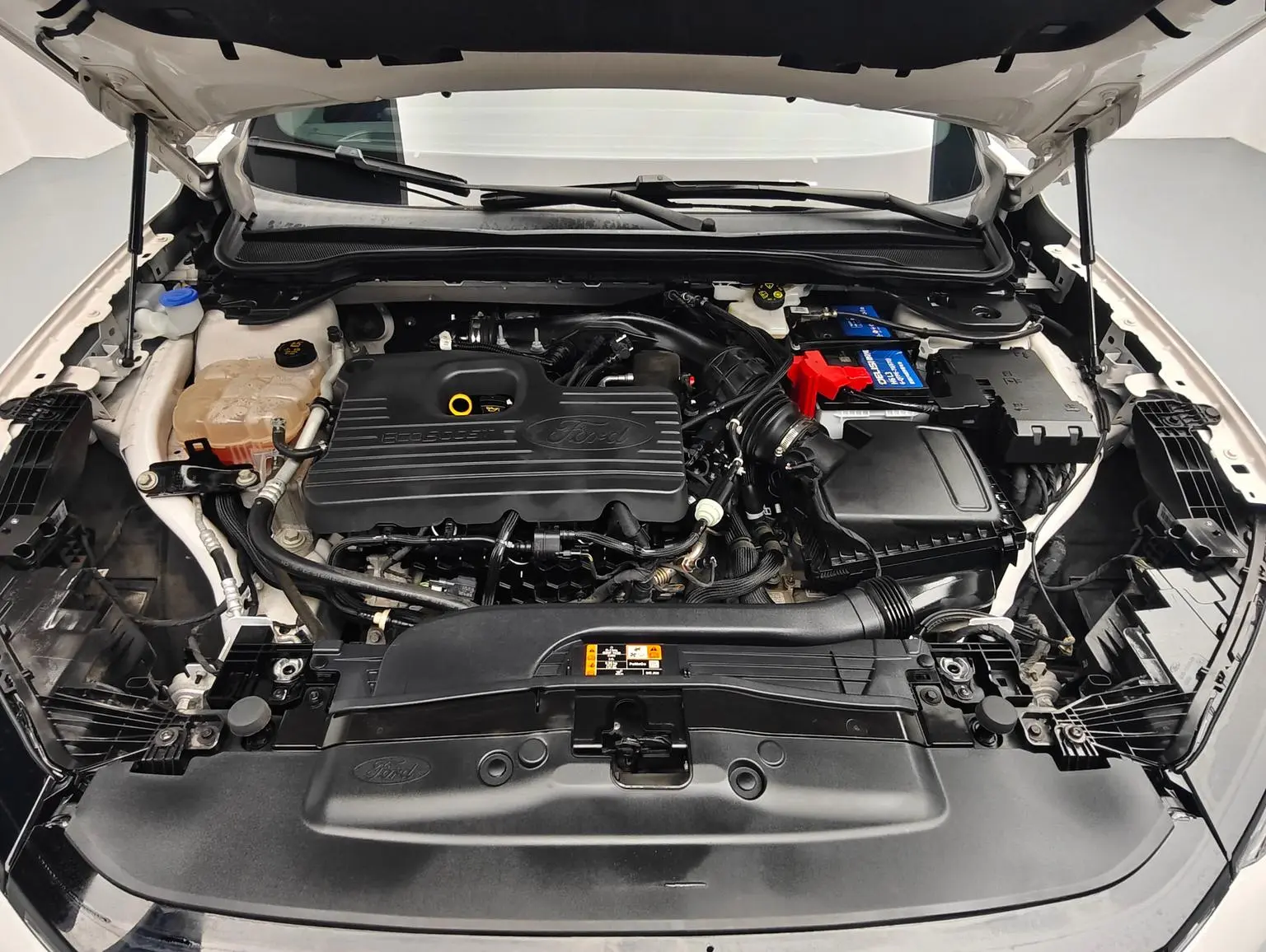Ford EVOS 2022 EcoBoost 245 Sport