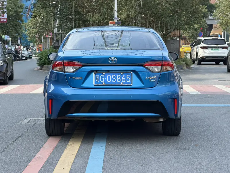 Ralink 2019 185T Deluxe Edition National VI