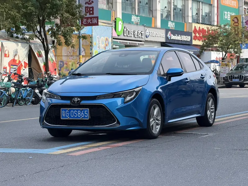 Ralink 2019 185T Deluxe Edition National VI