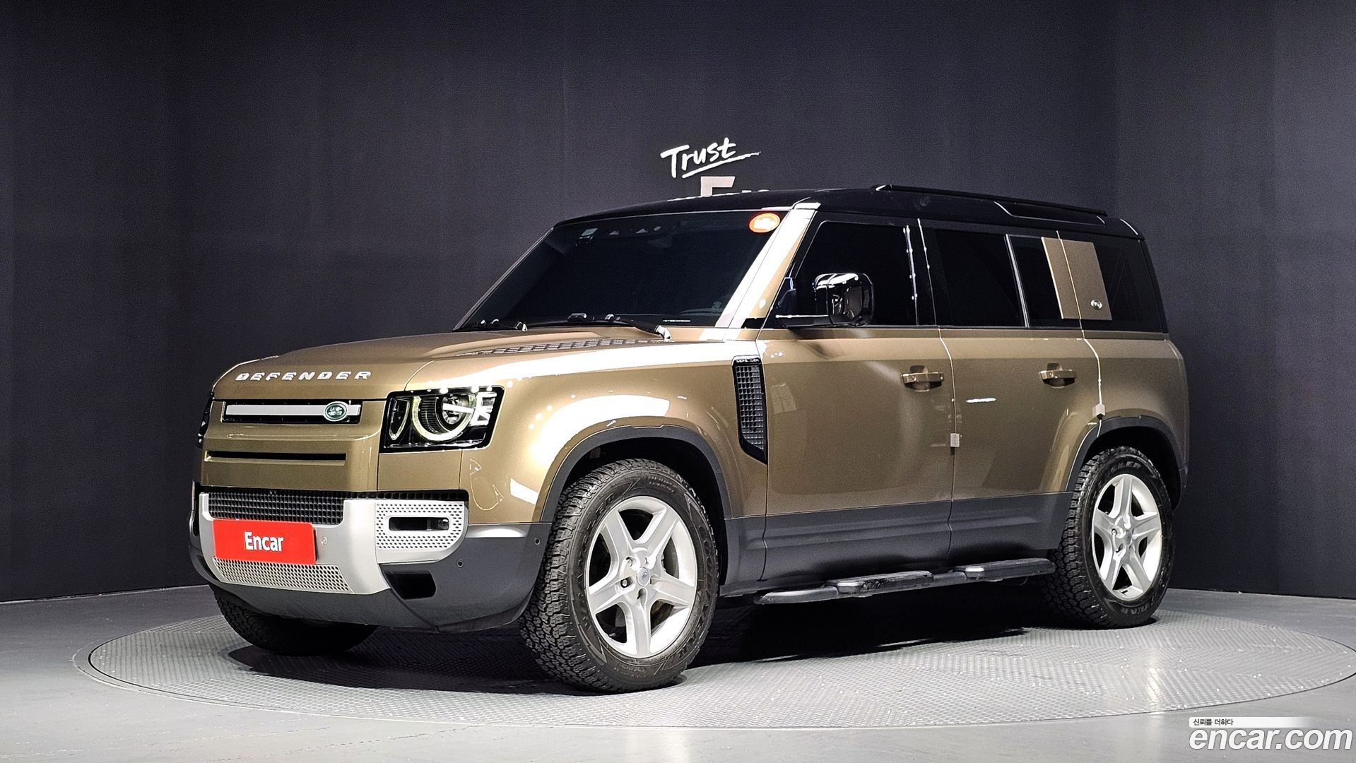 Land Rover Defender 110 D250 SE