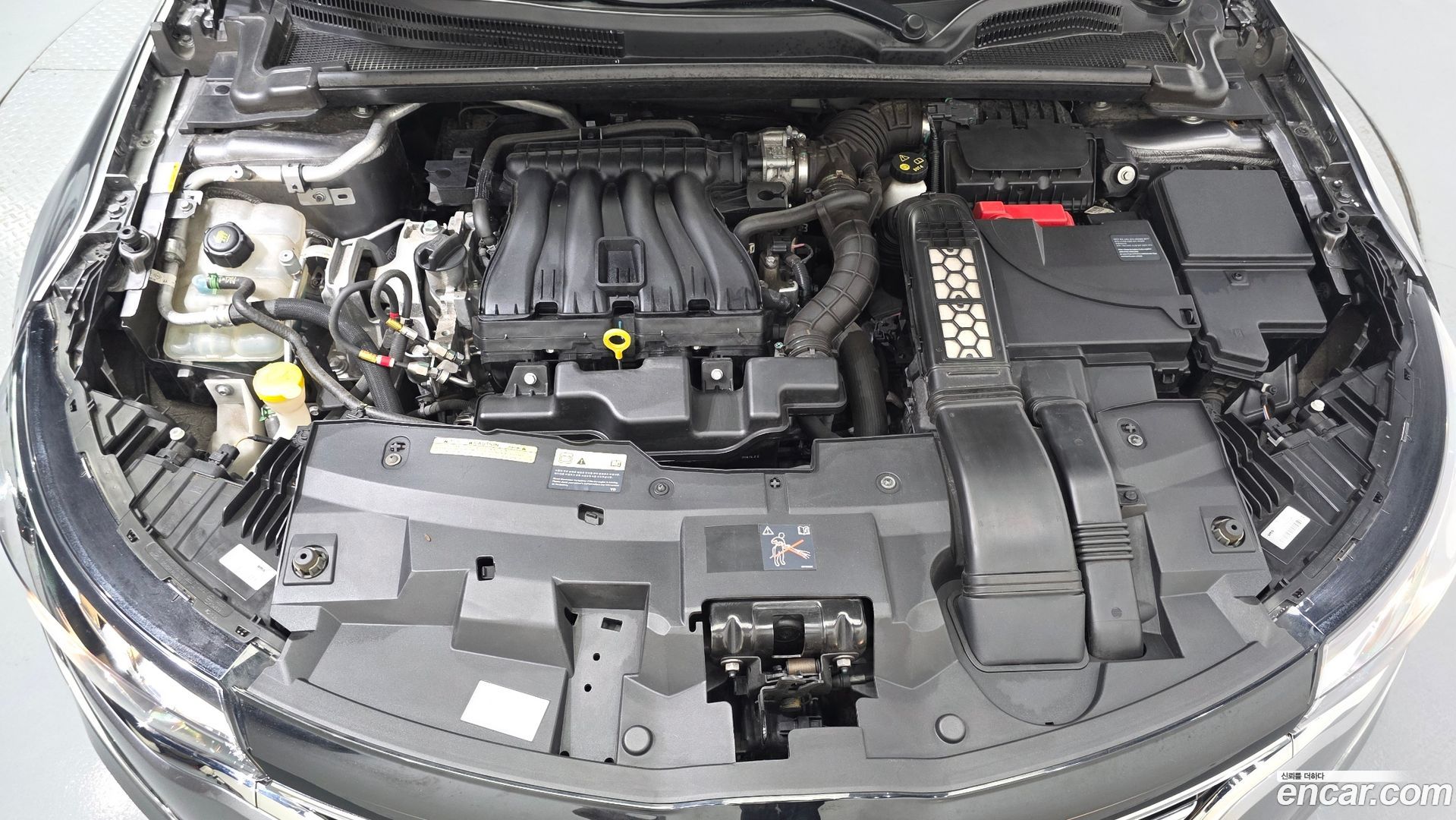 Renault Korea SM6 2.0 LPe LE
