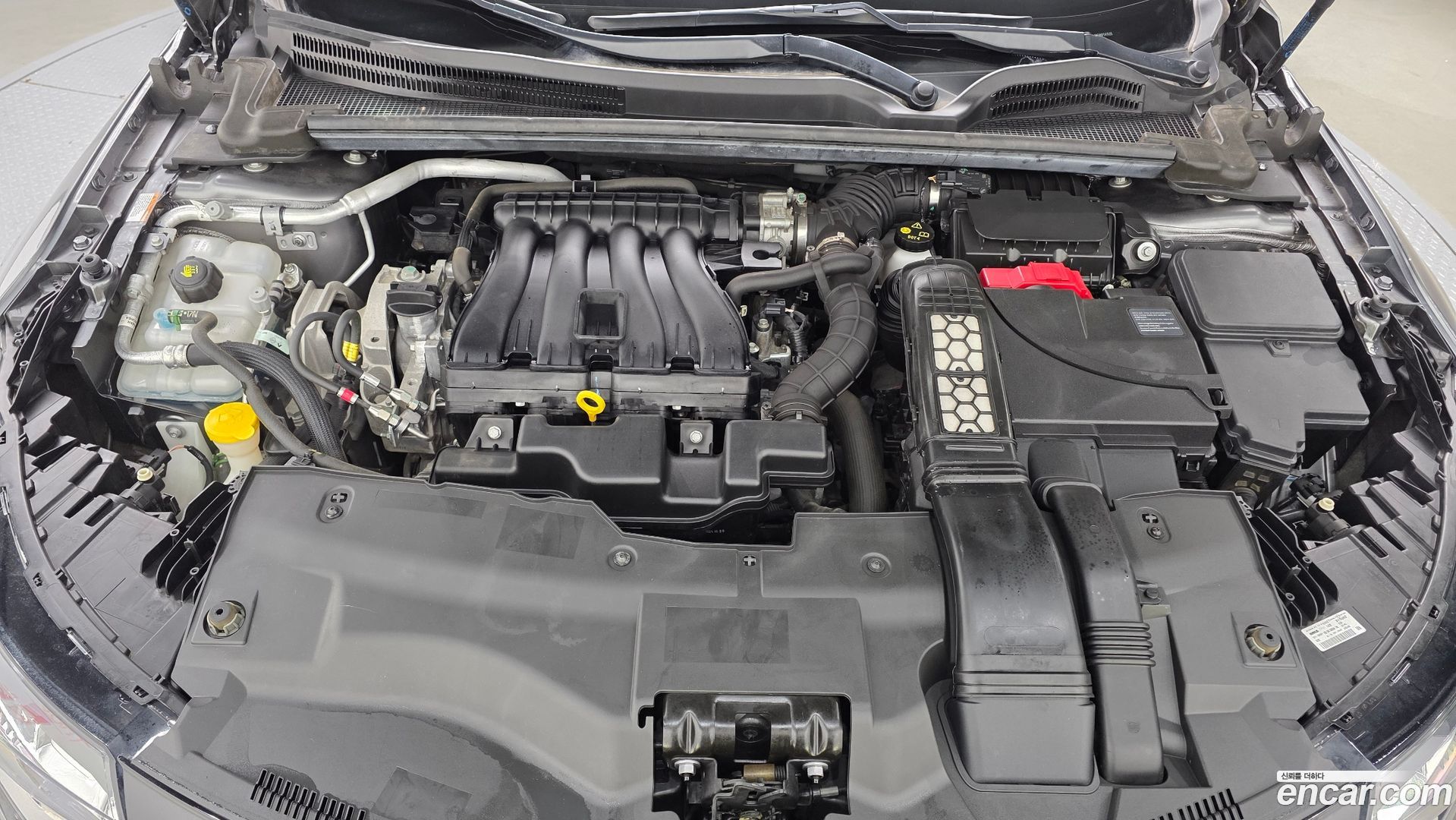 Renault Korea SM6 2.0 LPe SE Plus
