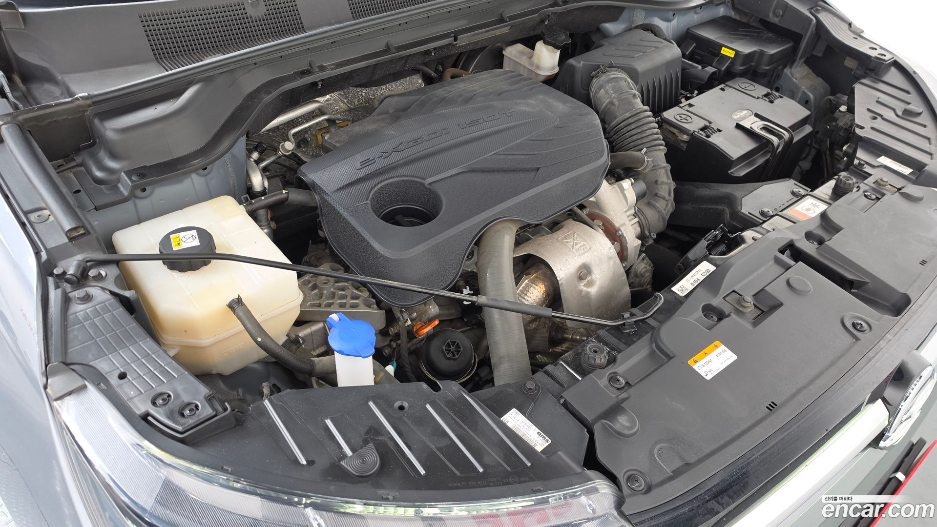 KG Mobility KORANDO Gasoline 1.5 4WD C5