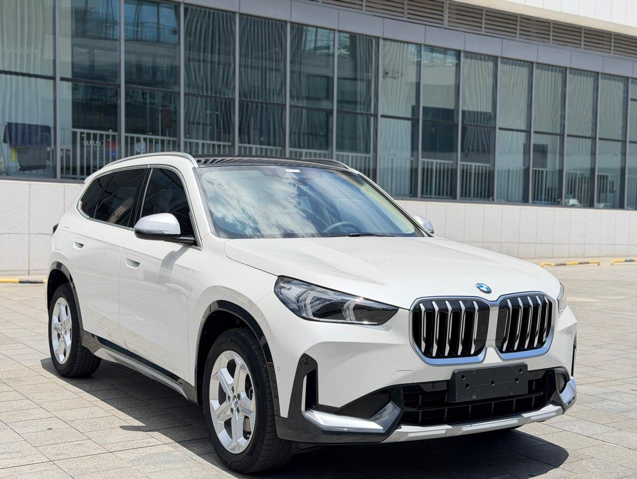 BMW X1 sDrive20Li