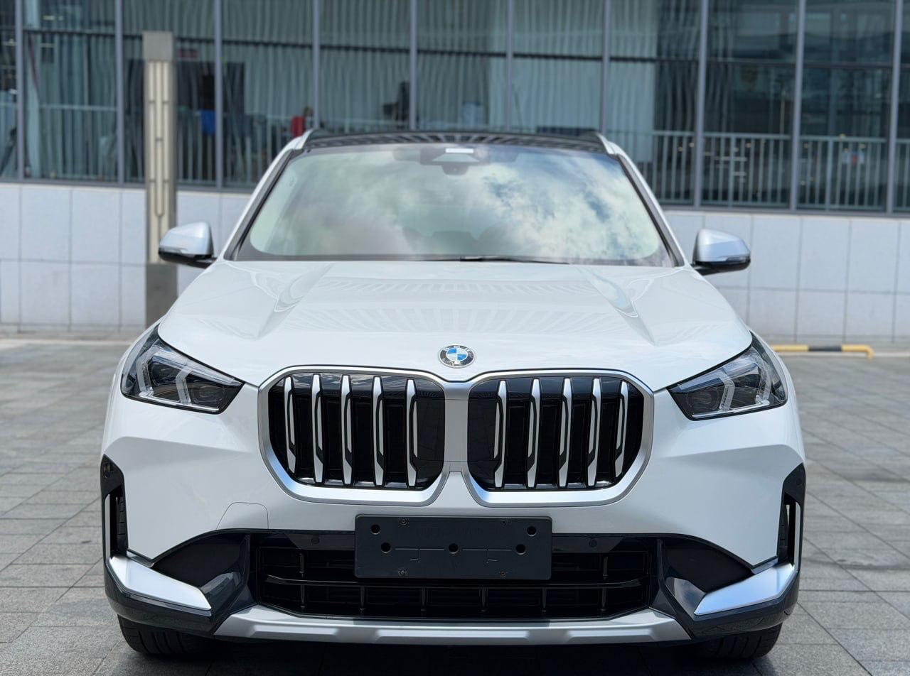BMW X1 sDrive20Li