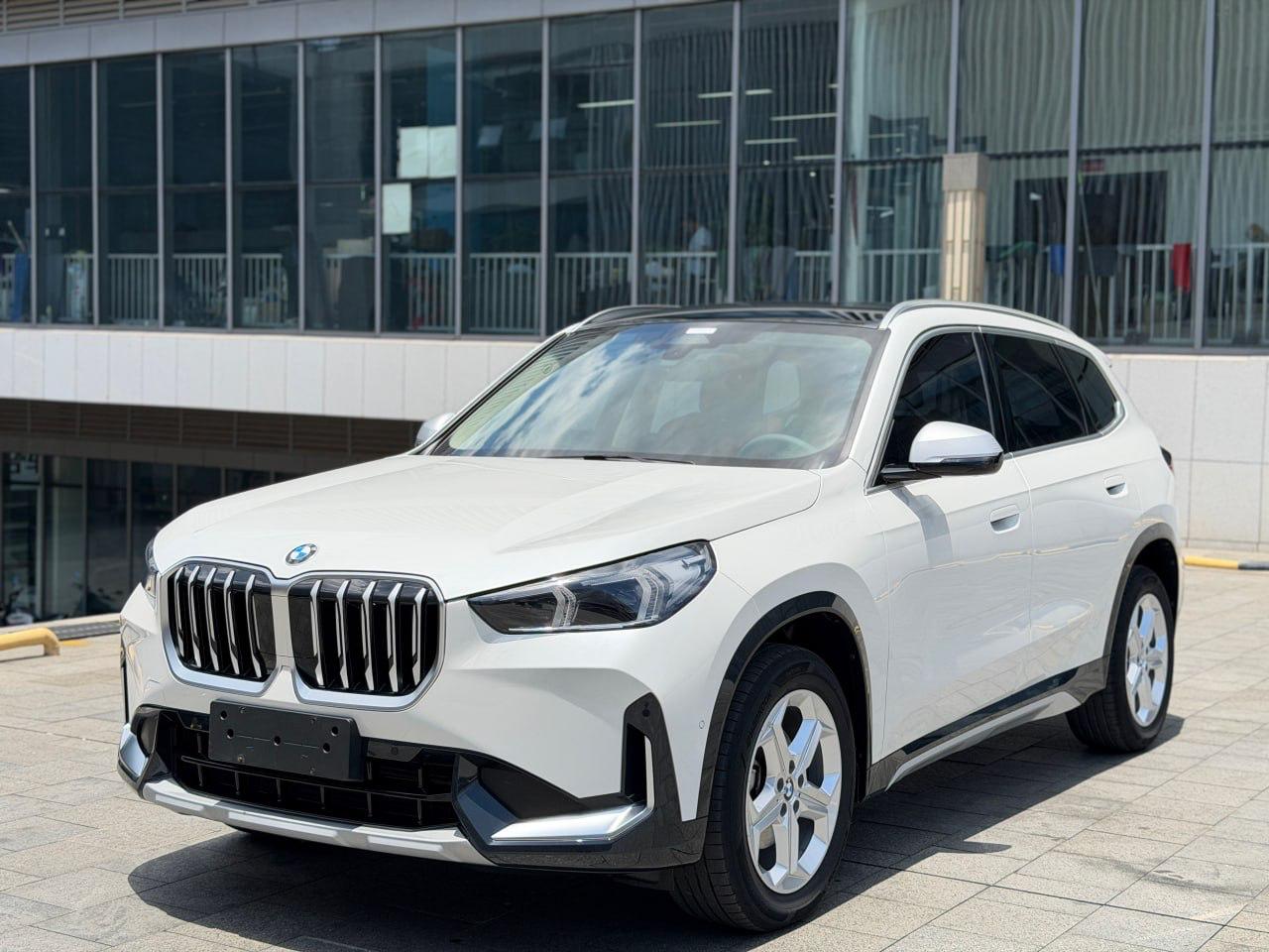 BMW X1 sDrive20Li