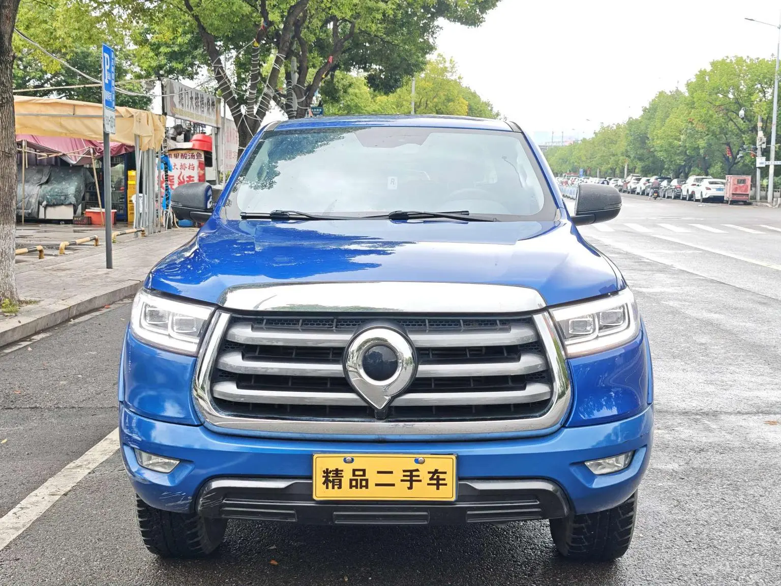 Great Wall Poer 2021 2.0T Petrol Auto 2WD Comfort GW4C20B