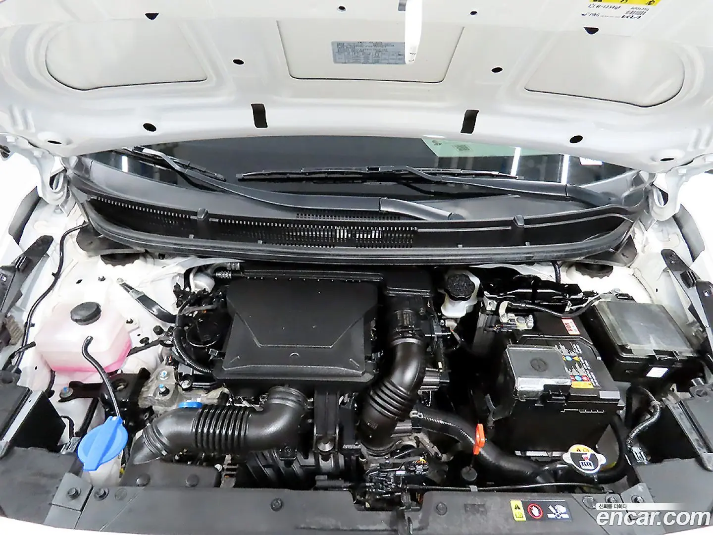 Kia morning Prestige 2020