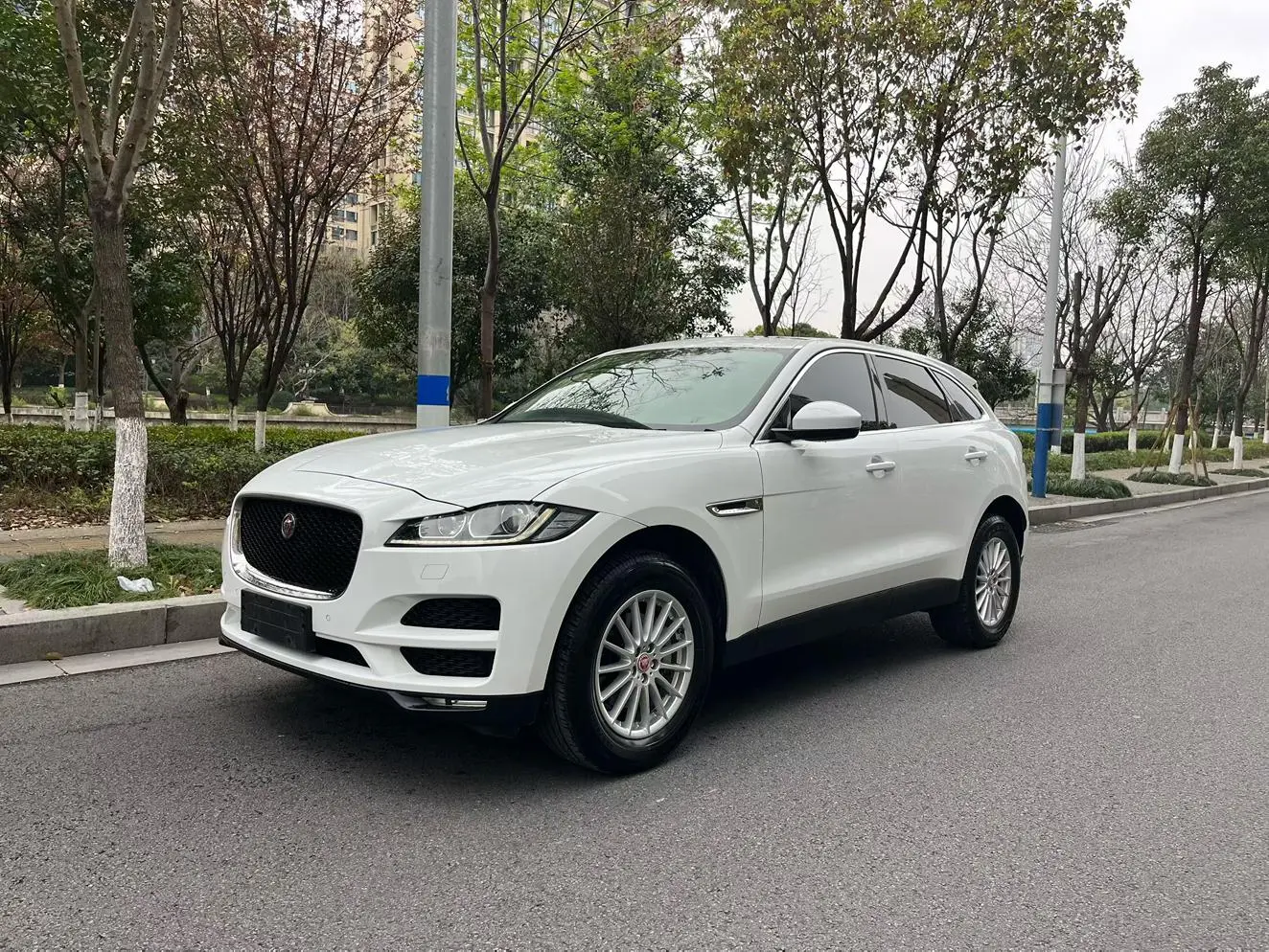 Jaguar F-PACE 2019 2.0T 4WD Premium Plus