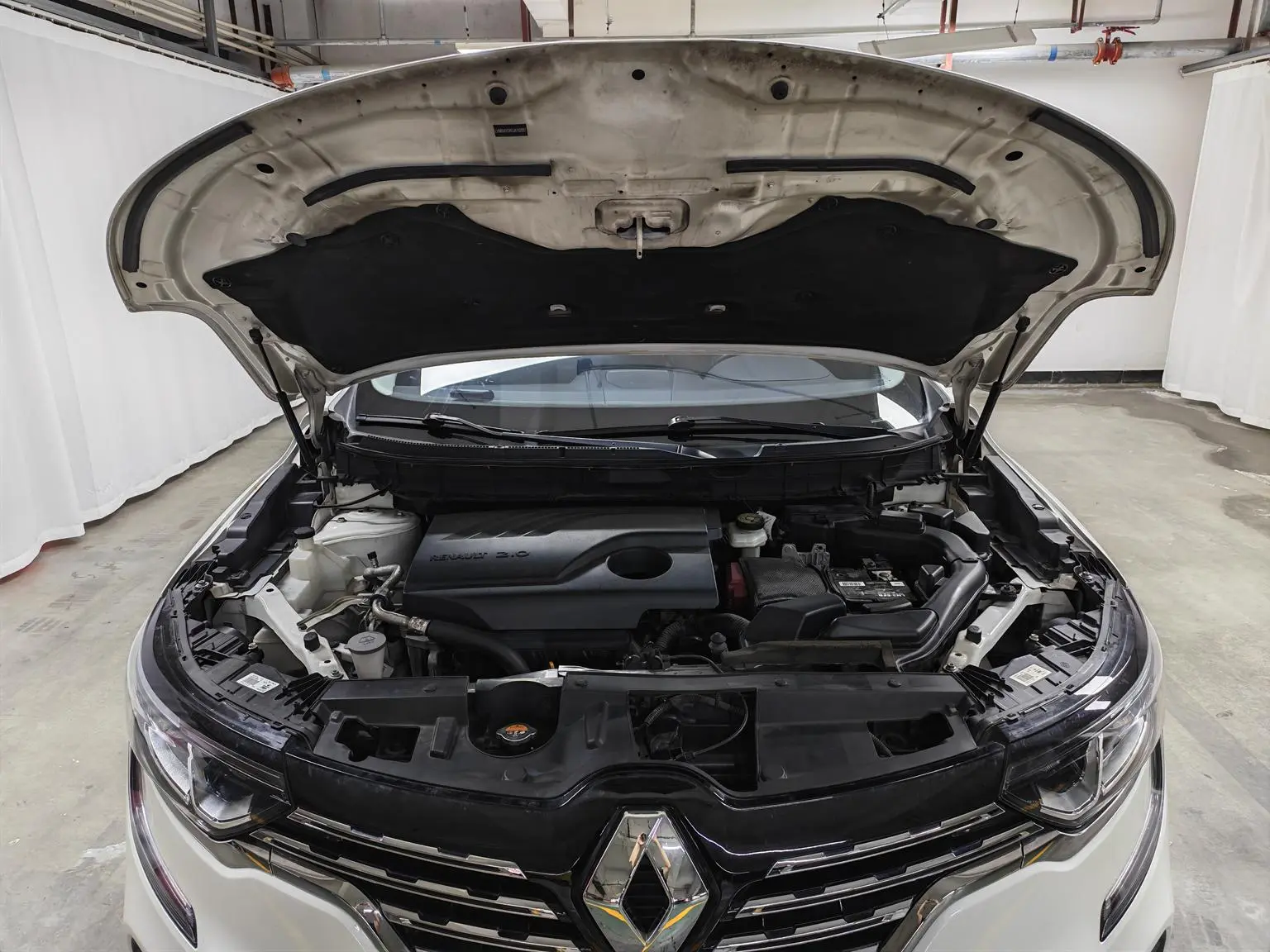 Renault 2018 2.0L 2WD Leading
