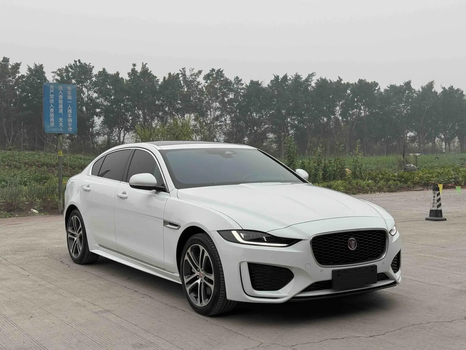 Jaguar XEL 2024 2.0T 250PS R-DYNAMIC S Progressive Sport