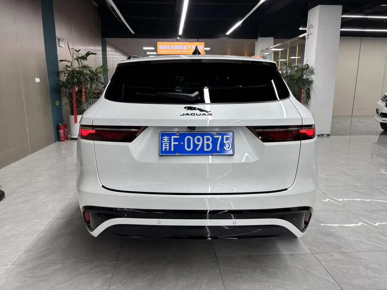Jaguar F-PACE 2025 P250 R-Dynamic SE