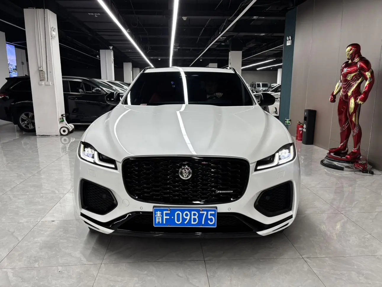 Jaguar F-PACE 2025 P250 R-Dynamic SE