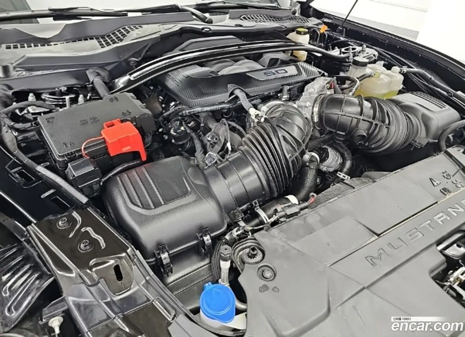 Ford Mustang 5.0 GT Premium Convertible