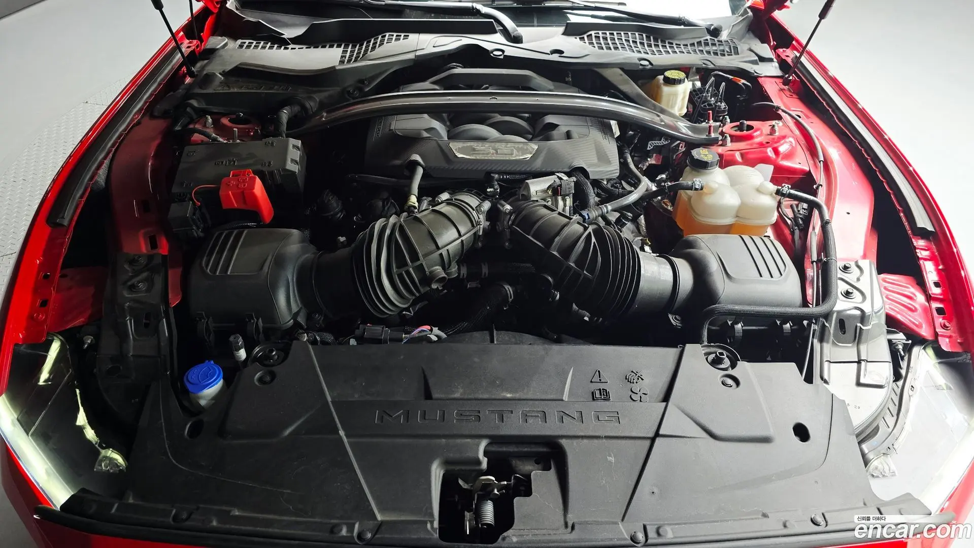 Ford Mustang 5.0 GT Premium Convertible