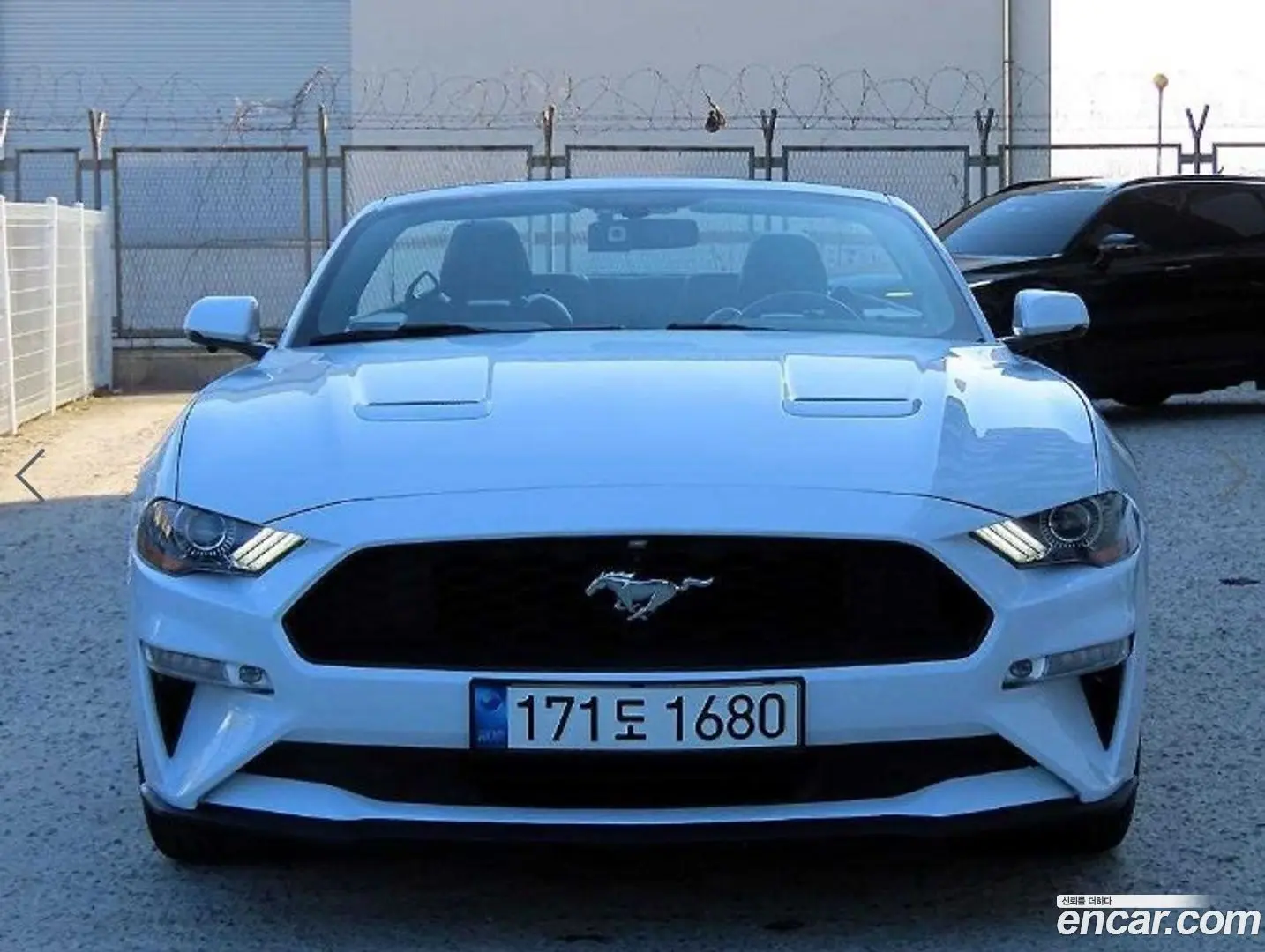 Ford Mustang Convertible