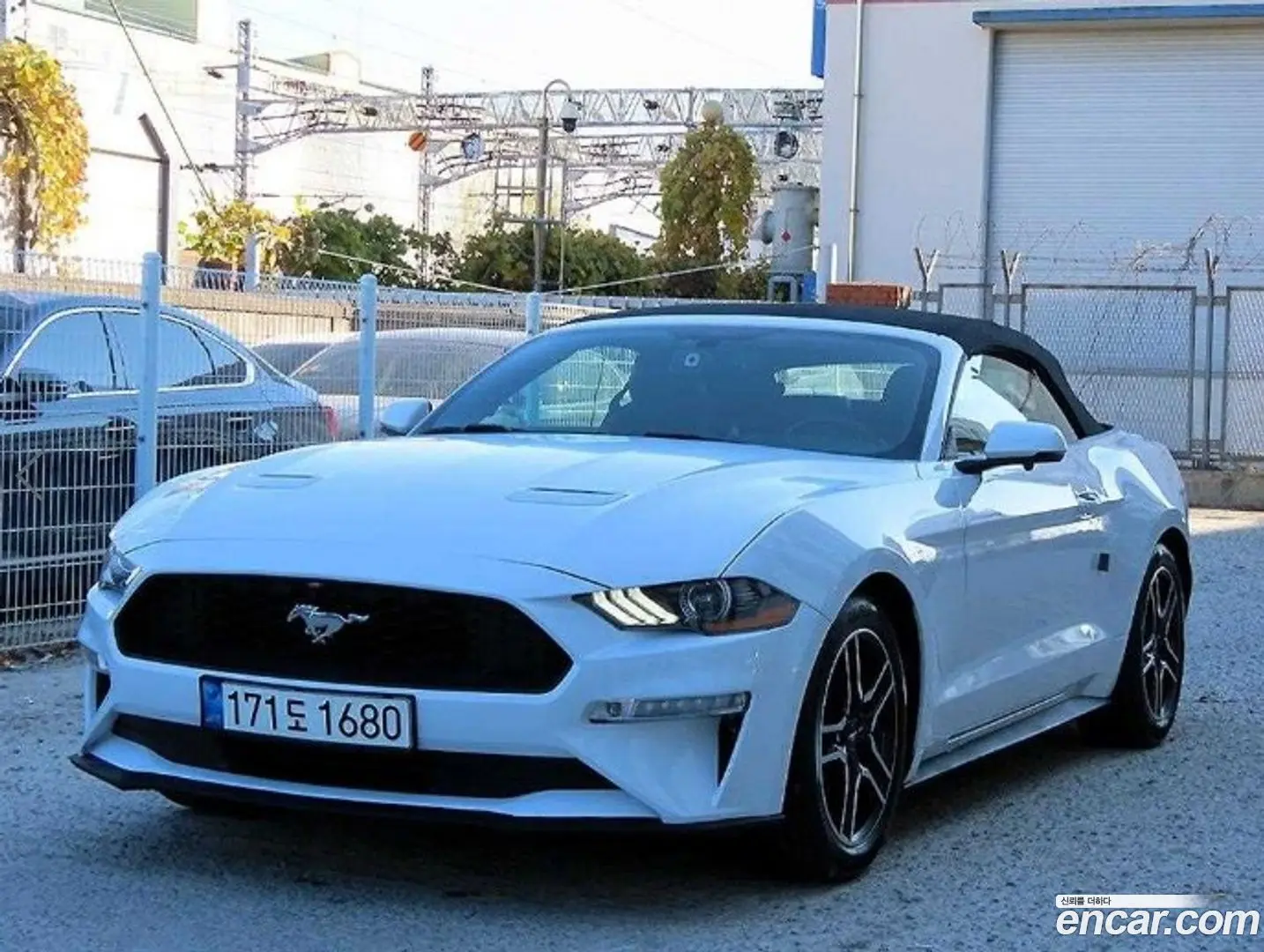 Ford Mustang Convertible
