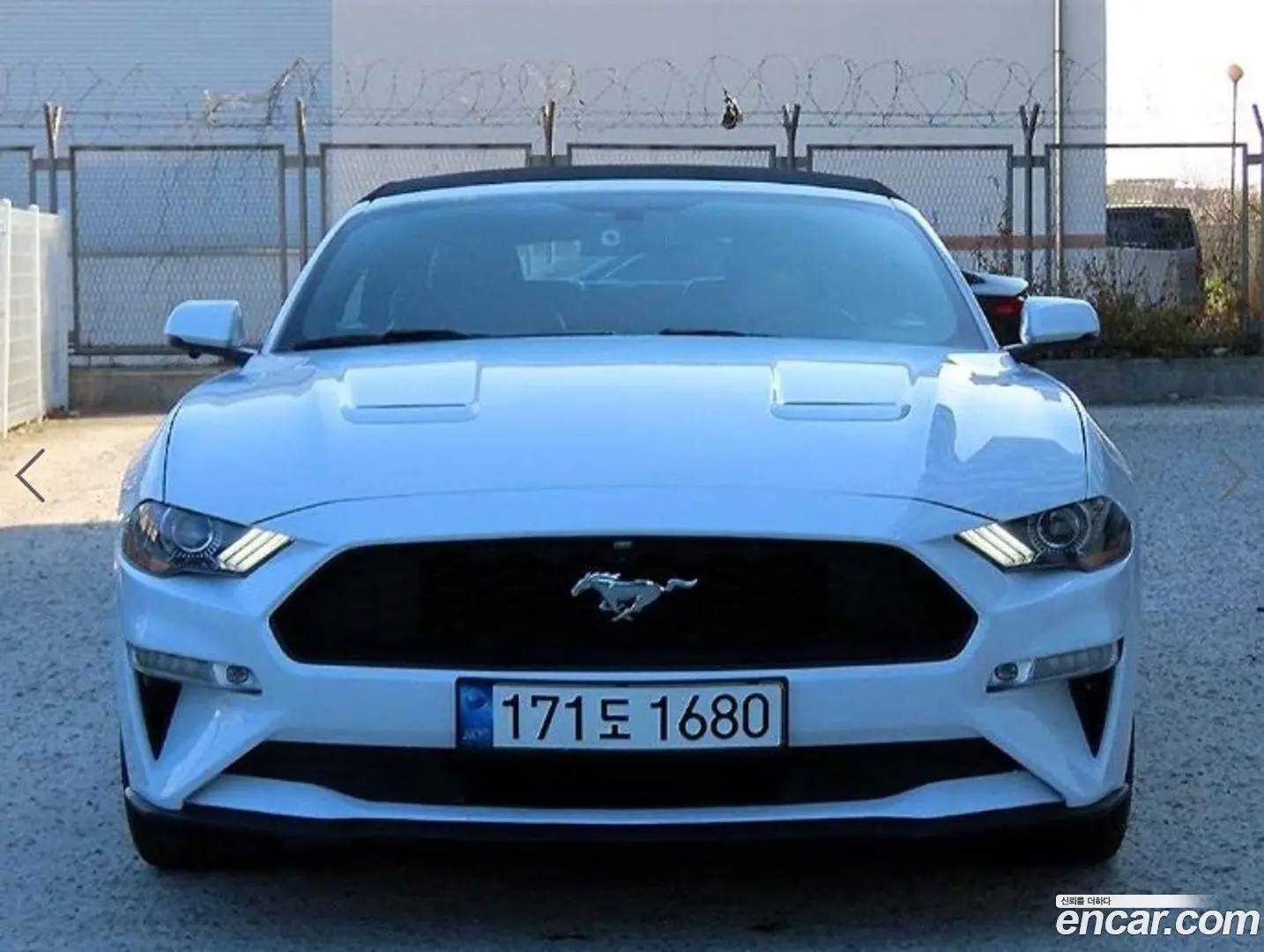 Ford Mustang Convertible