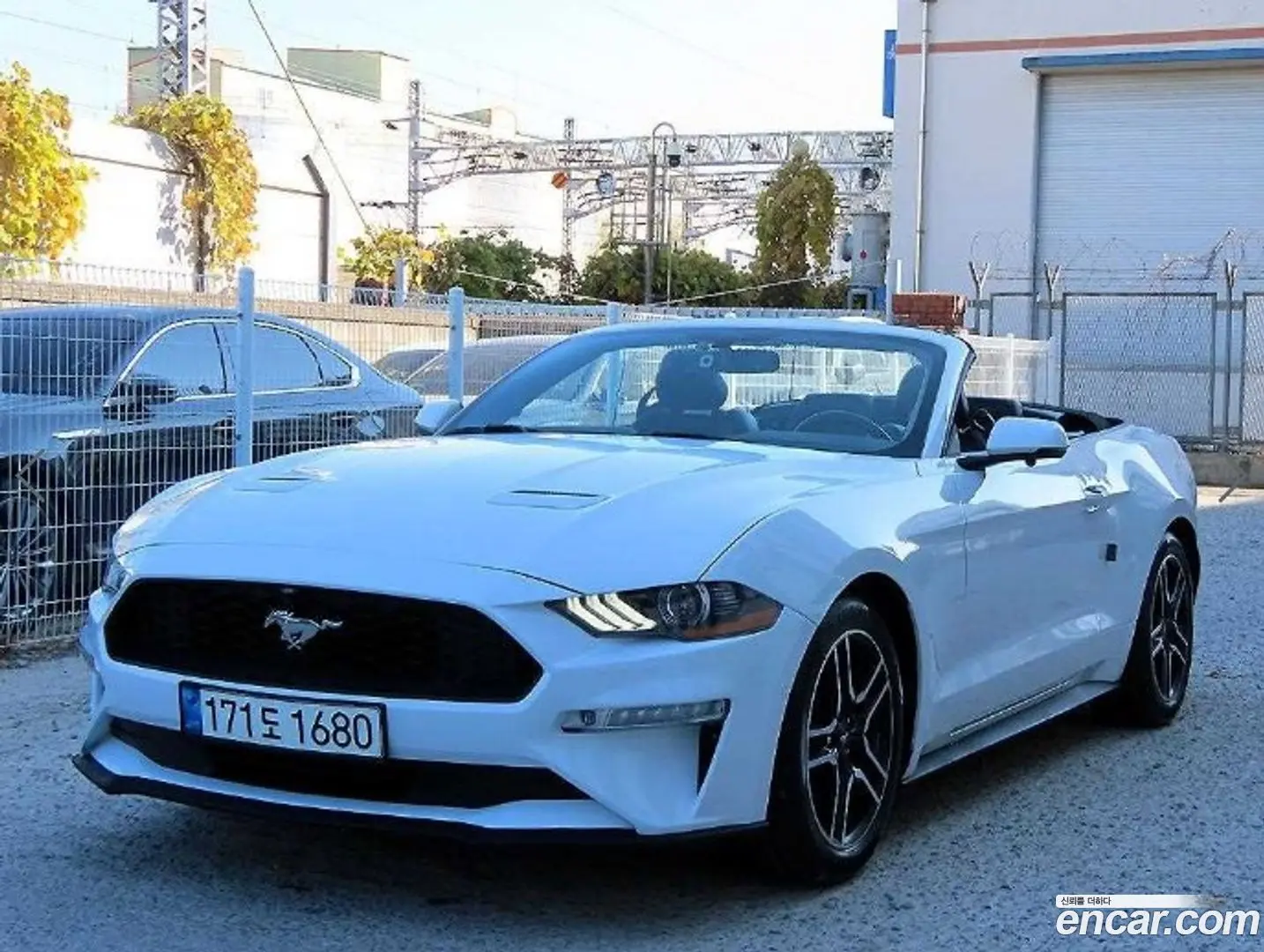 Ford Mustang Convertible