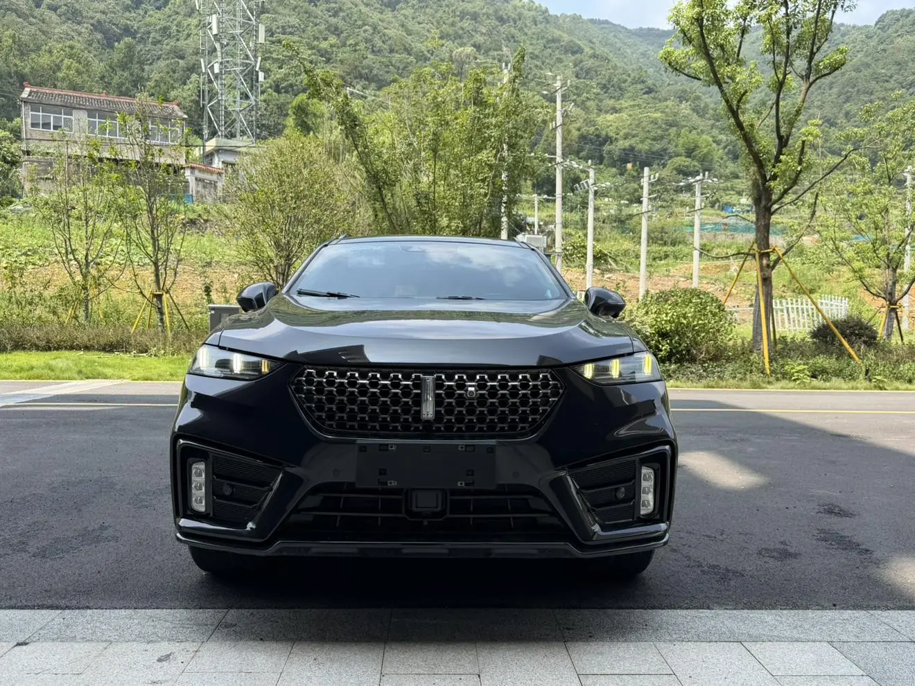 WEY VV7 2020 2.0T Flagship