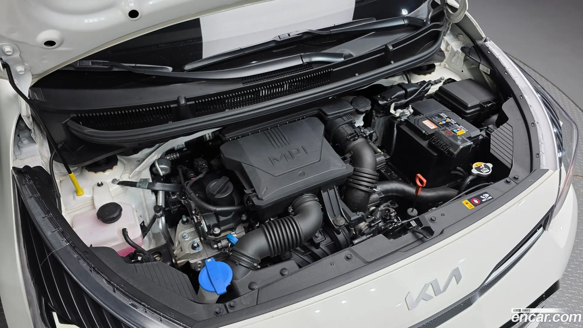 Kia morning Signature