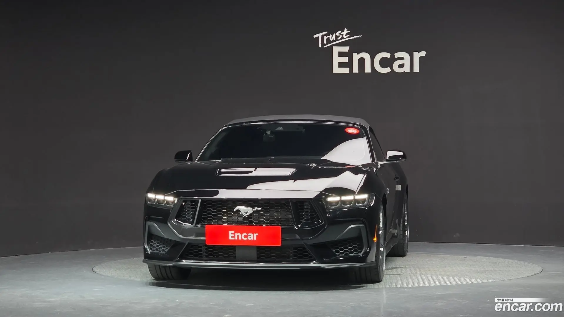 Ford Mustang 5.0 GT Premium Coupe