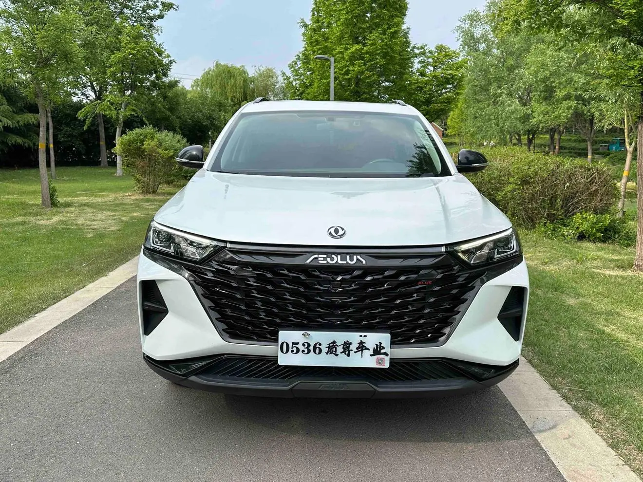 Dongfeng Aeolus AX7 2023 1.5T DCT DF31