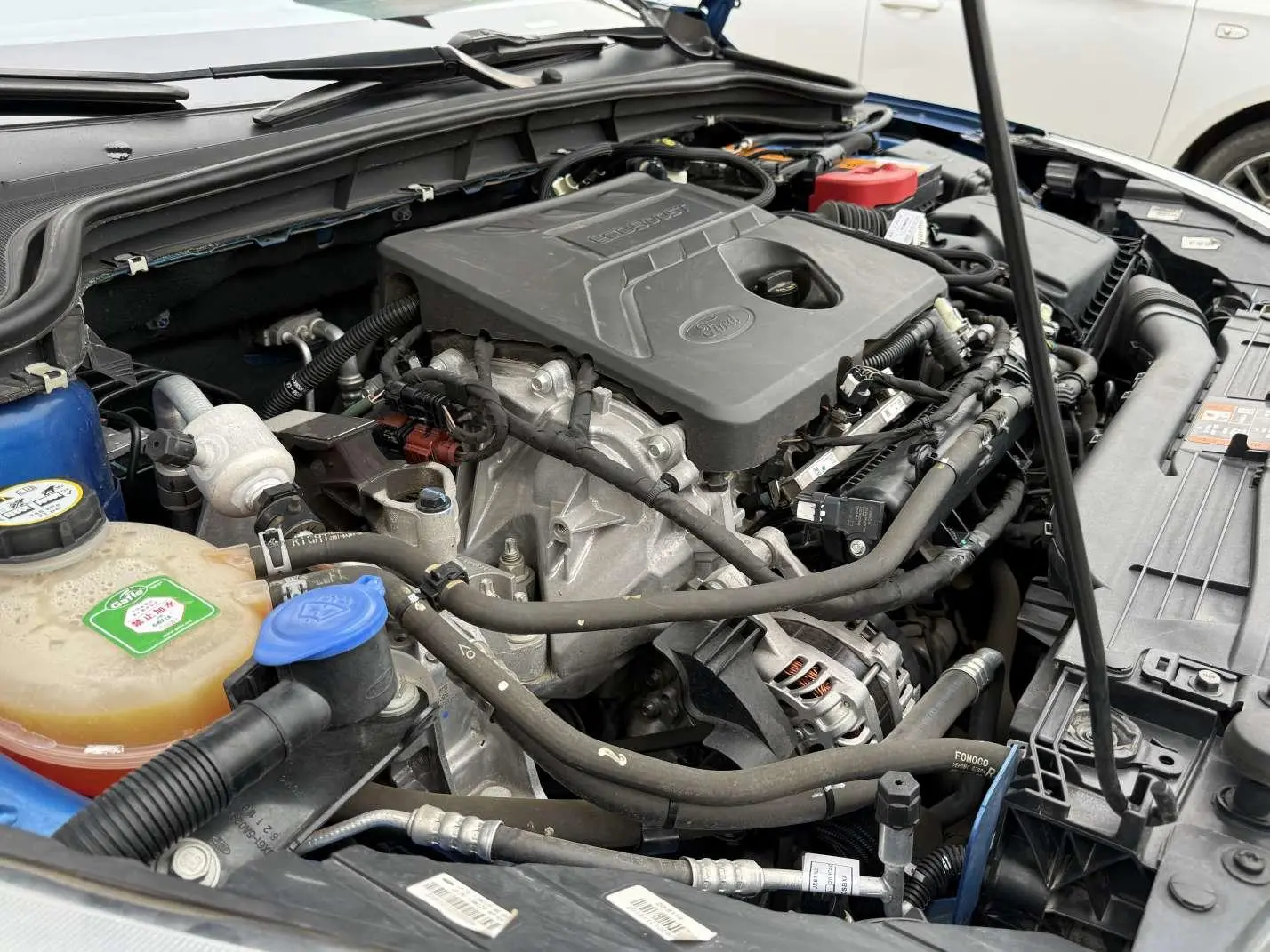 Ford Focus 2019 Hatchback EcoBoost 180 Auto