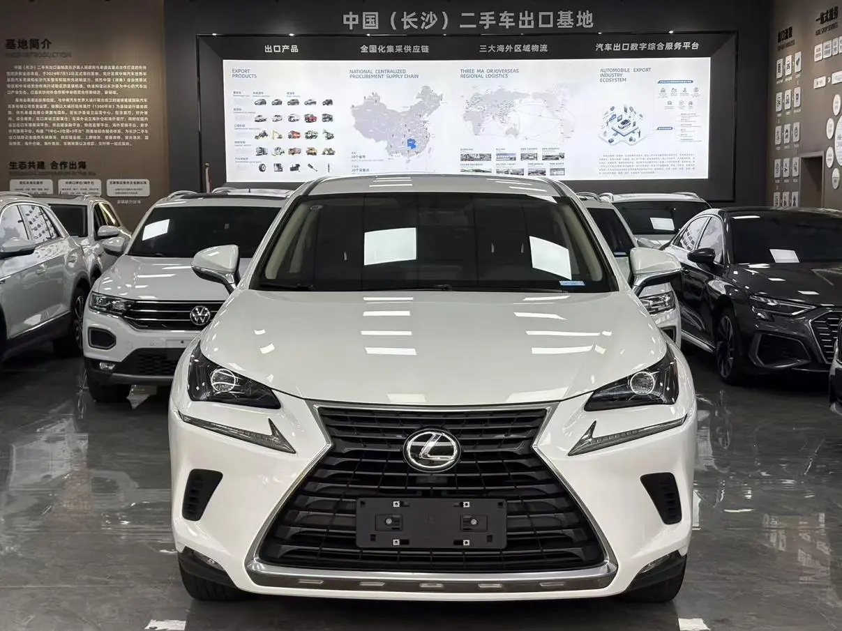 Lexus NX 2020 200 FWD China VI