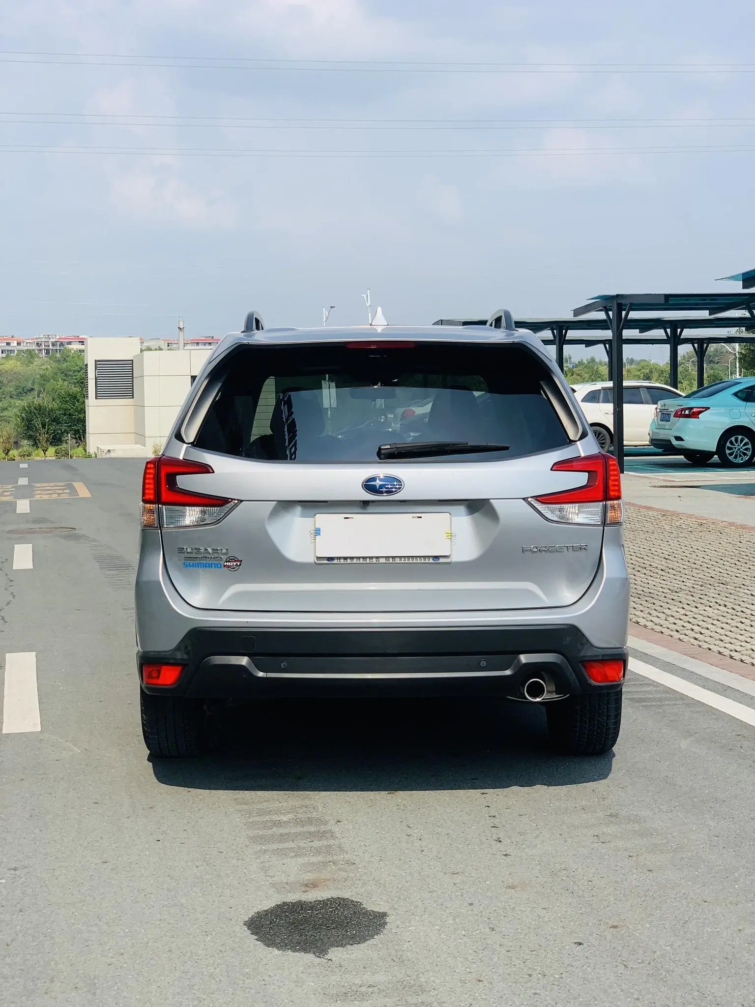 Subaru FORESTER Forester 2019 2.0i Luxury