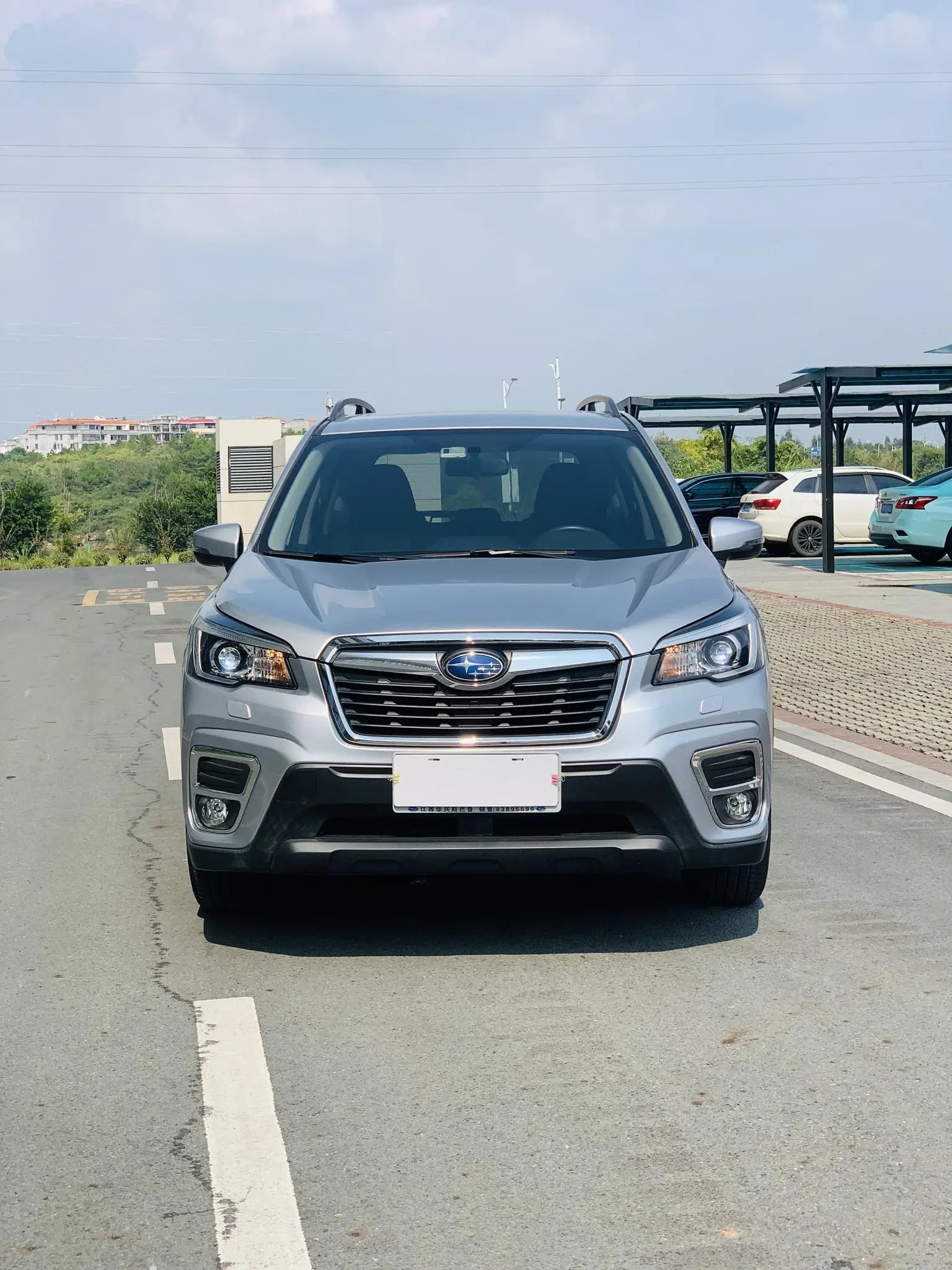 Subaru FORESTER Forester 2019 2.0i Luxury
