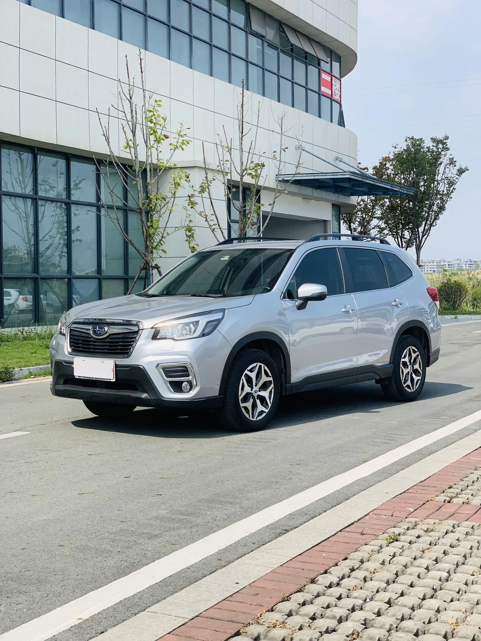 Subaru FORESTER Forester 2019 2.0i Luxury