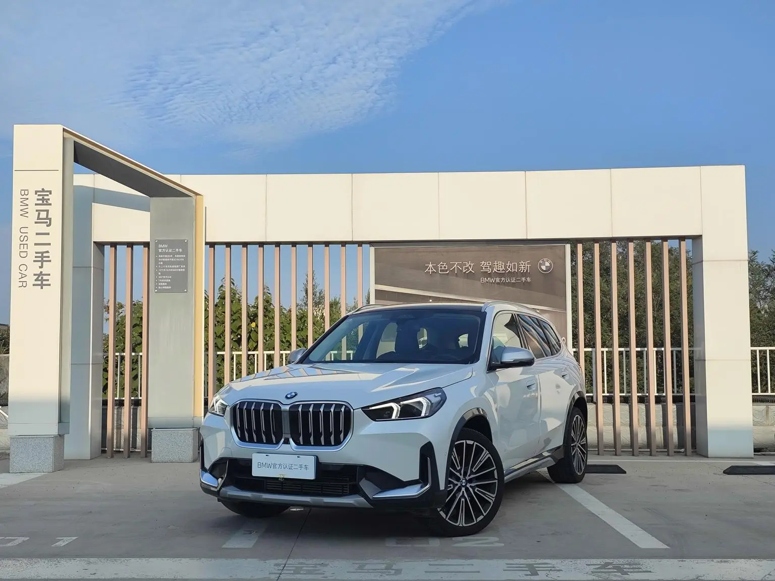 BMW X1 2023 xDrive25Li X Design Package